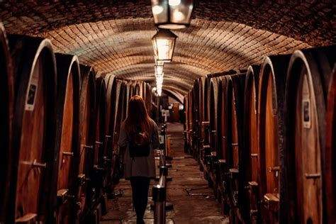Visite de la cave historique des Hospices de Strasbourg